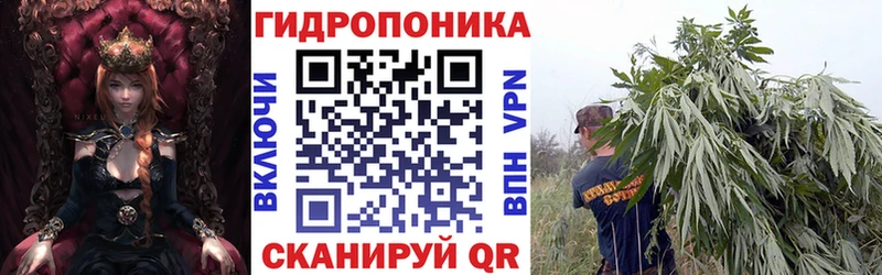 МАРИХУАНА ГИДРОПОН  Новопавловск 